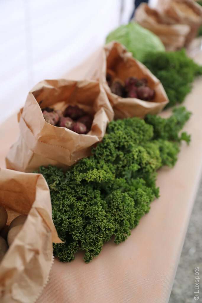 Tüten mit Bio-Erzeugnissen in Papiertüten auf einem Tisch, darunter gekräuselte Salatblätter.