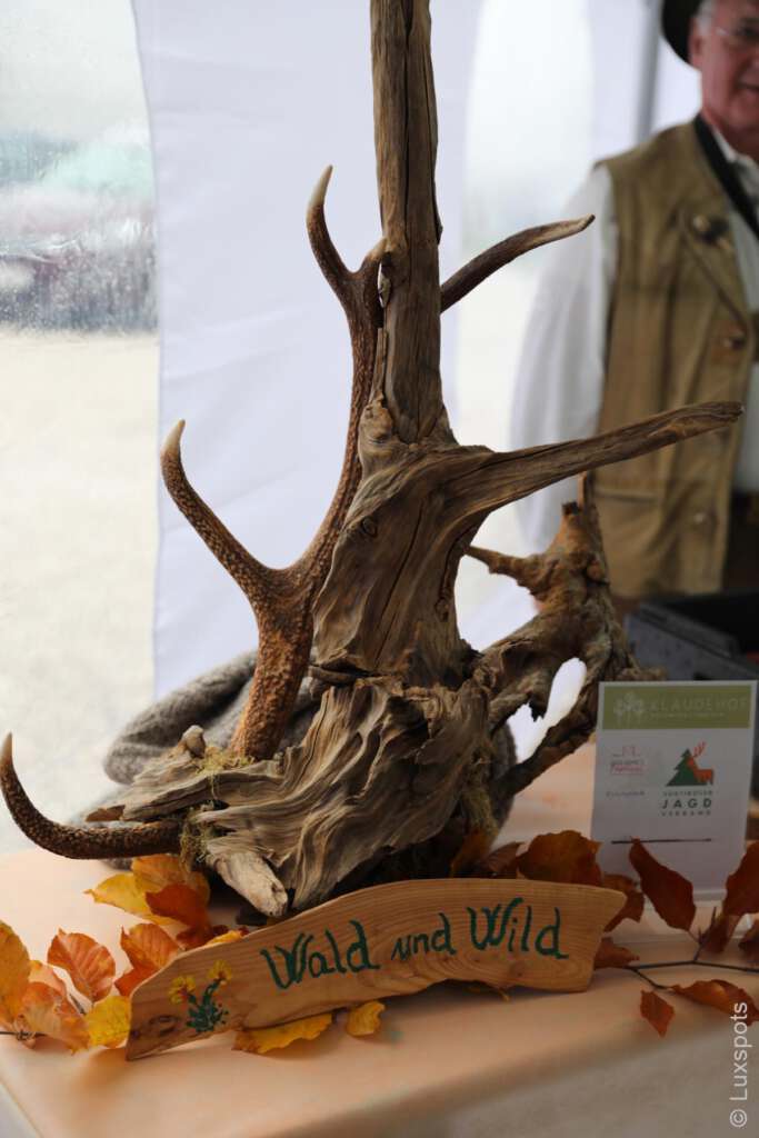 Geweih vor einer Holztafel mit der Aufschrift „Wald und Wild“, umgeben von Herbstblättern.