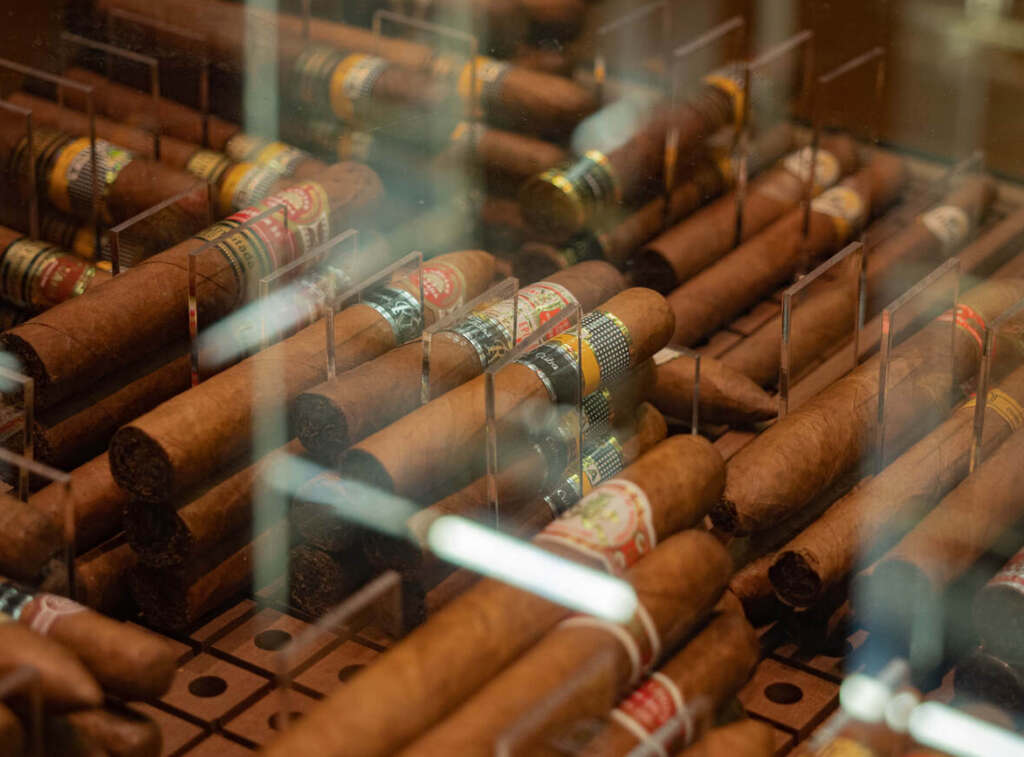 Nahaufnahme verschiedener Zigarren mit unterschiedlichen Etiketten, die in einer Glasvitrine ausgestellt sind.