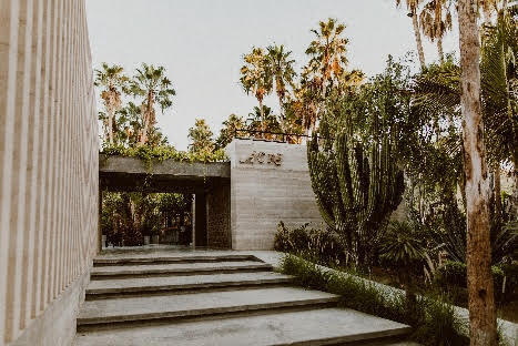 Modernes Betongebäude mit Stufen, die zu einem Eingang führen, umgeben von hohen Palmen und verschiedenen Grünpflanzen.